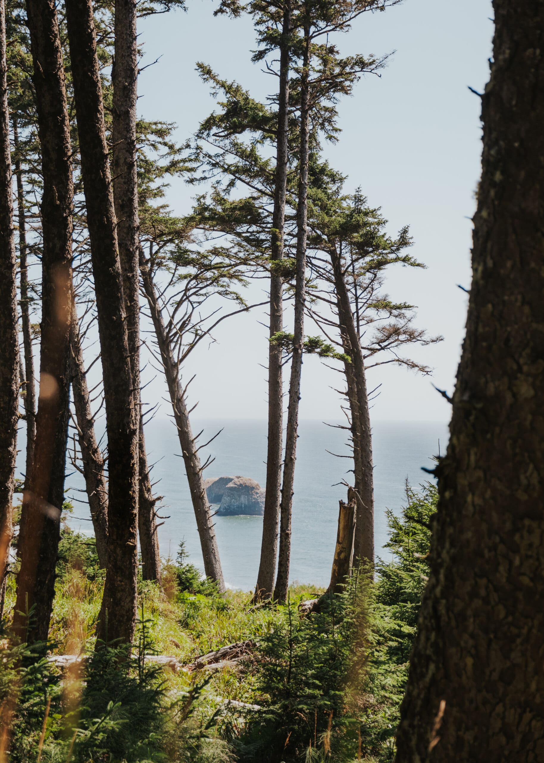 Oregon Coast Elopement